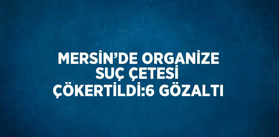 MERSİN’DE ORGANİZE SUÇ ÇETESİ ÇÖKERTİLDİ:6 GÖZALTI