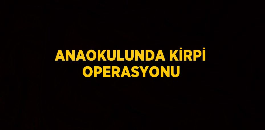 ANAOKULUNDA KİRPİ OPERASYONU