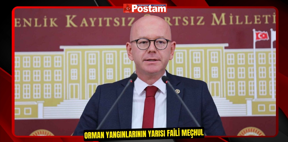 ORMAN YANGINLARININ YARISI FAİLİ MEÇHUL