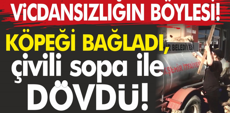 Köpeği bağladı, çivili sopa ile dövdü!