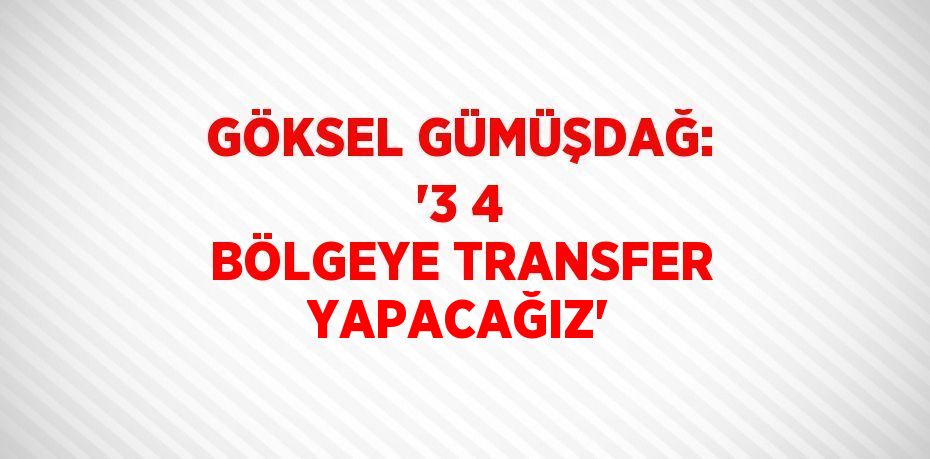 GÖKSEL GÜMÜŞDAĞ: '3 4 BÖLGEYE TRANSFER YAPACAĞIZ'
