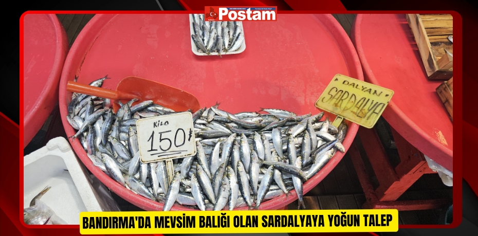 Bandırma'da mevsim balığı olan sardalyaya yoğun talep