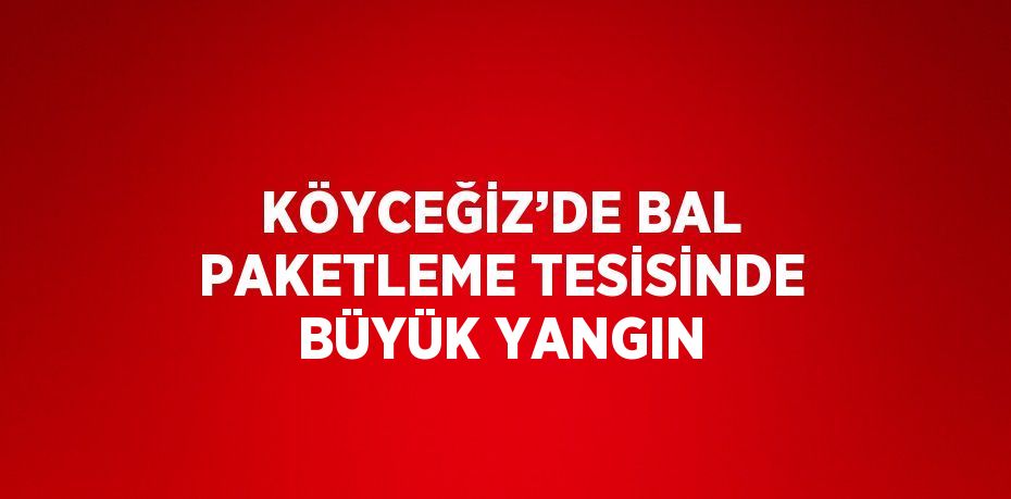 KÖYCEĞİZ’DE BAL PAKETLEME TESİSİNDE BÜYÜK YANGIN
