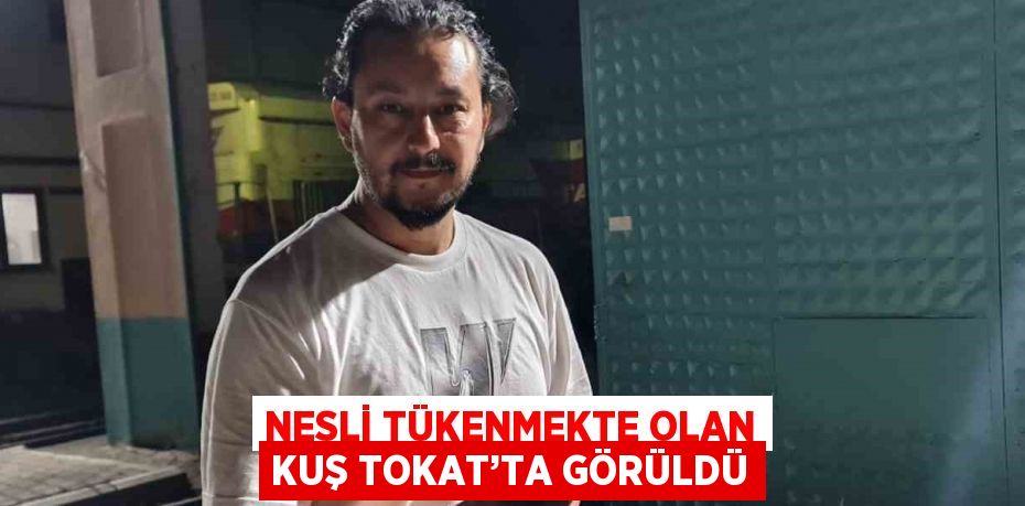 NESLİ TÜKENMEKTE OLAN KUŞ TOKAT’TA GÖRÜLDÜ