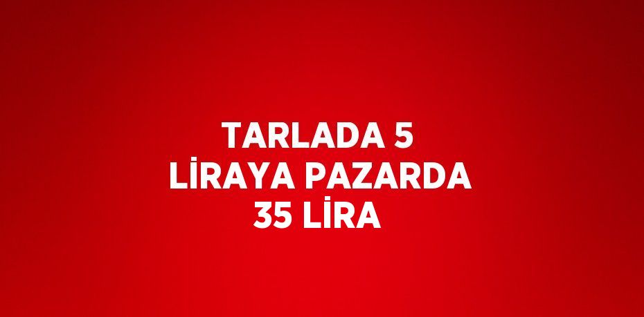 TARLADA 5 LİRAYA PAZARDA 35 LİRA