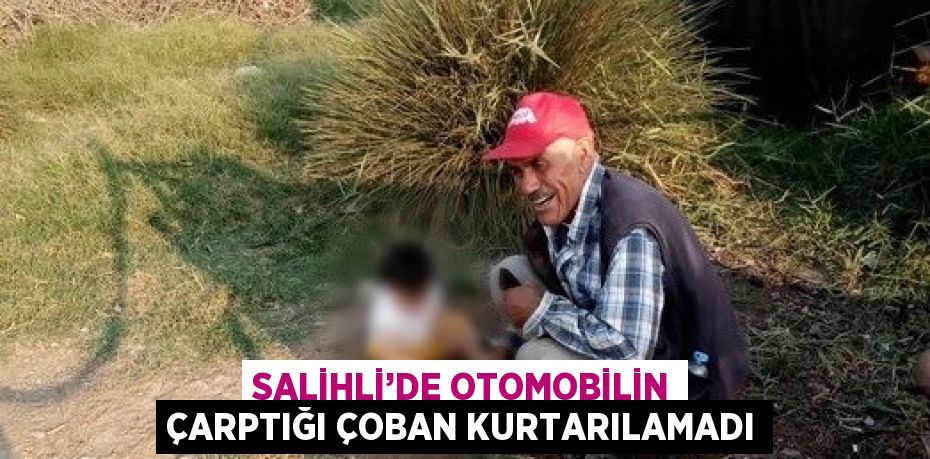 SALİHLİ’DE OTOMOBİLİN ÇARPTIĞI ÇOBAN KURTARILAMADI