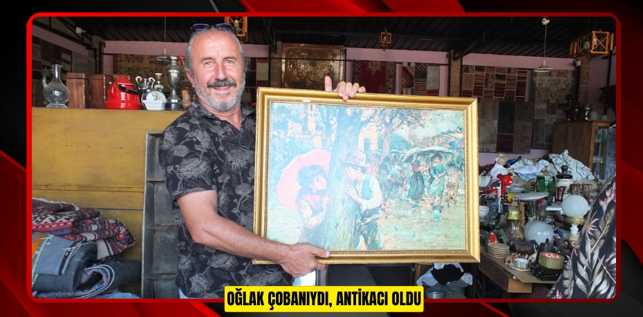 Oğlak çobanıydı, antikacı oldu