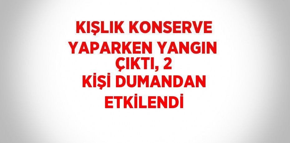 KIŞLIK KONSERVE YAPARKEN YANGIN ÇIKTI, 2 KİŞİ DUMANDAN ETKİLENDİ