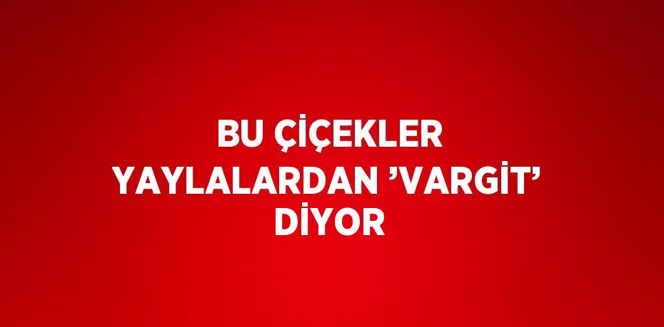 BU ÇİÇEKLER YAYLALARDAN ’VARGİT’ DİYOR