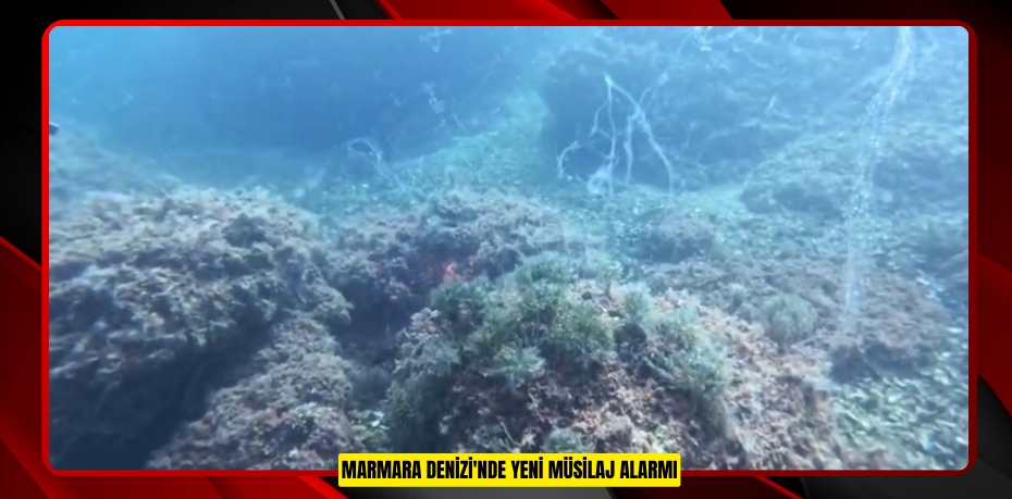 Marmara Denizi'nde yeni müsilaj alarmı