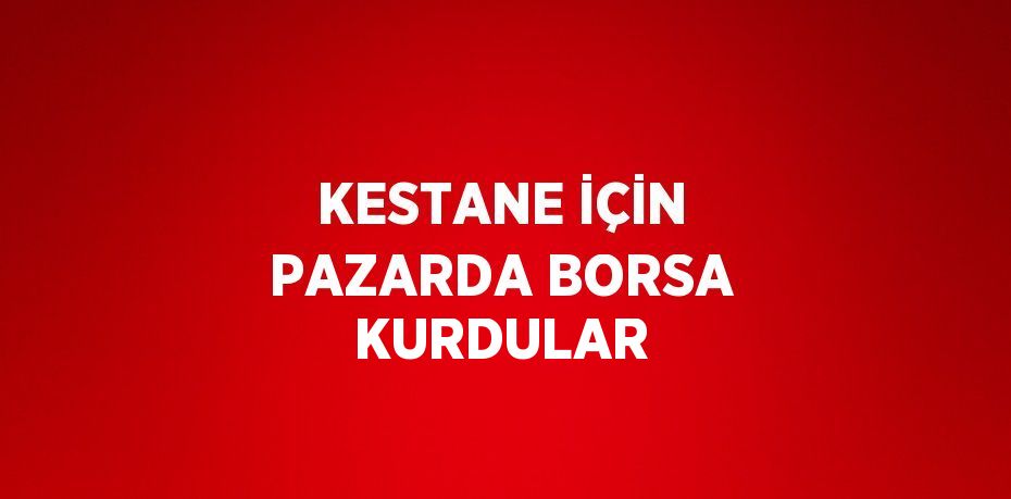 KESTANE İÇİN PAZARDA BORSA KURDULAR