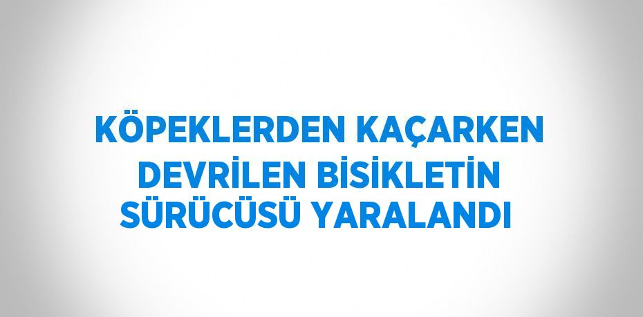 KÖPEKLERDEN KAÇARKEN DEVRİLEN BİSİKLETİN SÜRÜCÜSÜ YARALANDI