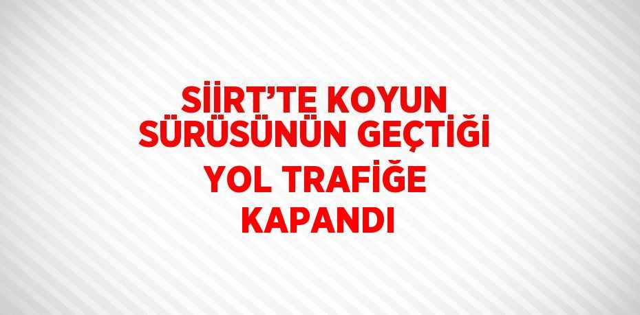 SİİRT’TE KOYUN SÜRÜSÜNÜN GEÇTİĞİ YOL TRAFİĞE KAPANDI