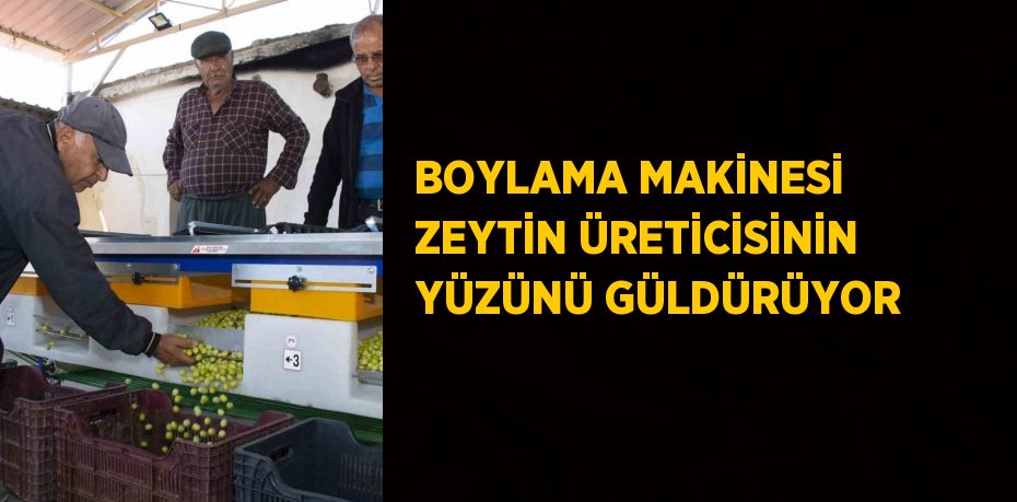 BOYLAMA MAKİNESİ ZEYTİN ÜRETİCİSİNİN YÜZÜNÜ GÜLDÜRÜYOR