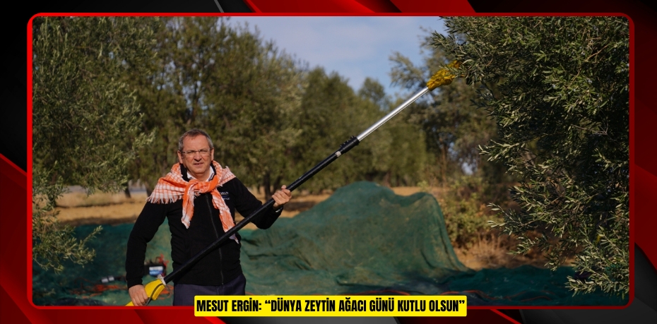 MESUT ERGİN: “DÜNYA ZEYTİN AĞACI GÜNÜ KUTLU OLSUN”