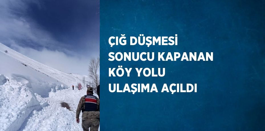 ÇIĞ DÜŞMESİ SONUCU KAPANAN KÖY YOLU ULAŞIMA AÇILDI