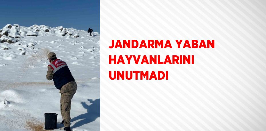 JANDARMA YABAN HAYVANLARINI UNUTMADI