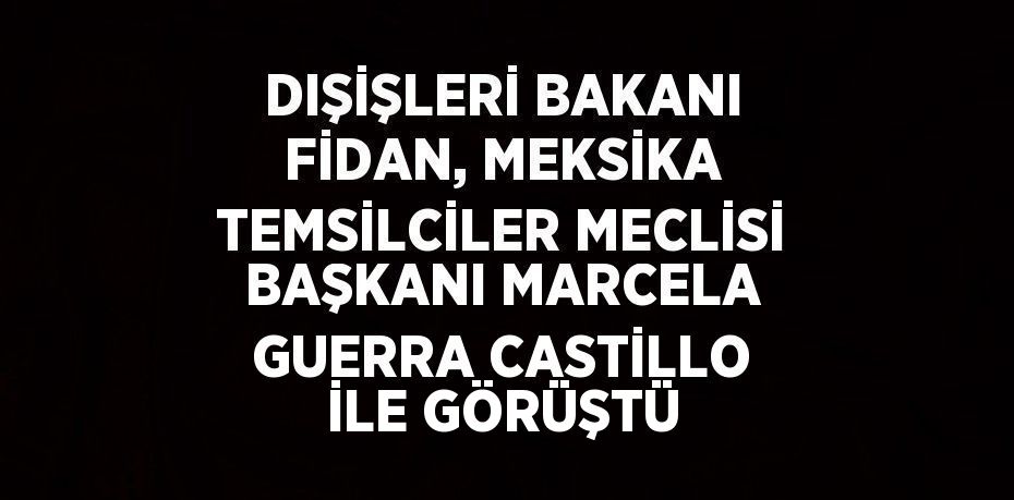 DIŞİŞLERİ BAKANI FİDAN, MEKSİKA TEMSİLCİLER MECLİSİ BAŞKANI MARCELA GUERRA CASTİLLO İLE GÖRÜŞTÜ