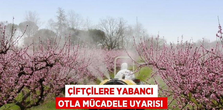 ÇİFTÇİLERE YABANCI OTLA MÜCADELE UYARISI