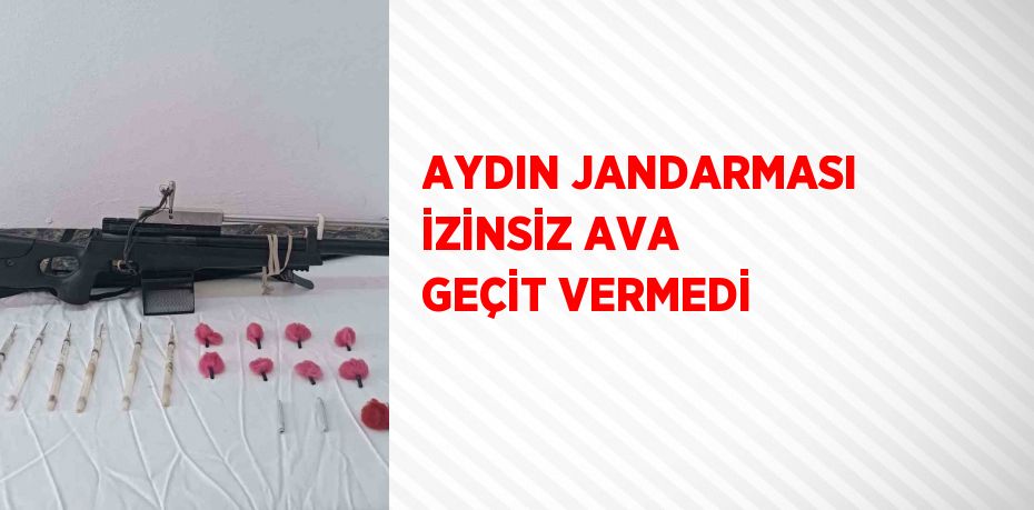 AYDIN JANDARMASI İZİNSİZ AVA GEÇİT VERMEDİ