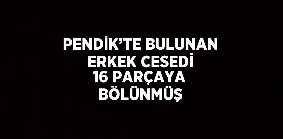 PENDİK’TE BULUNAN ERKEK CESEDİ 16 PARÇAYA BÖLÜNMÜŞ