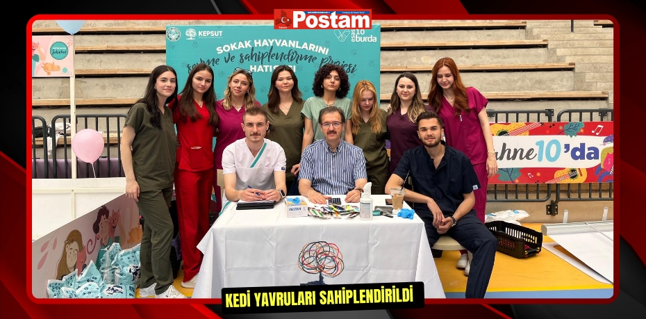 Kedi yavruları sahiplendirildi