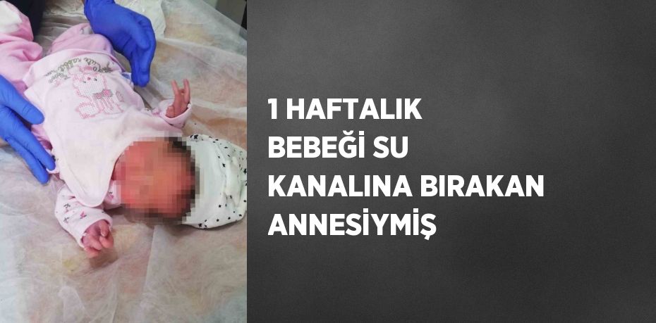 1 HAFTALIK BEBEĞİ SU KANALINA BIRAKAN ANNESİYMİŞ