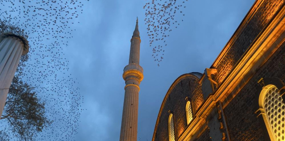 Tarihi cami üzerinde sığırcıkların görsel şöleni