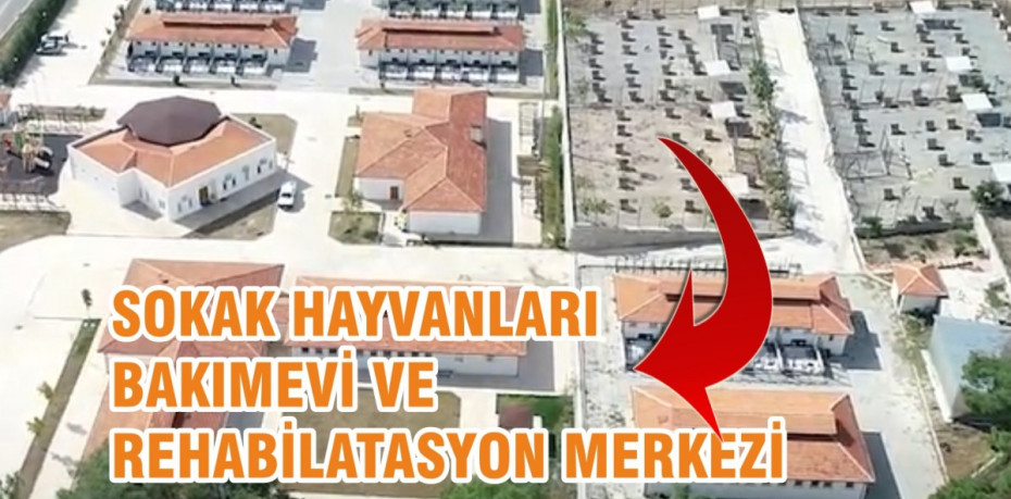 VETBÜS İLE AYVALIKTAYIZ