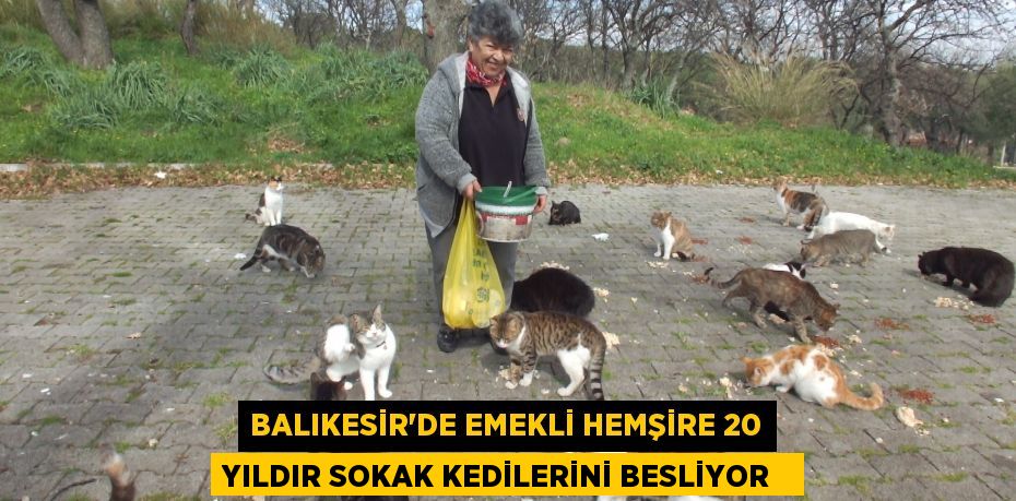 Balıkesir'de emekli hemşire 20 yıldır sokak kedilerini besliyor  