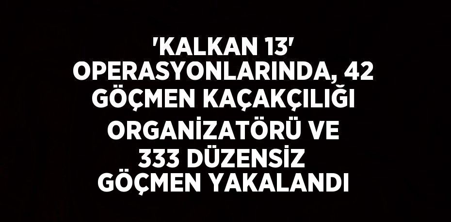 'KALKAN 13' OPERASYONLARINDA, 42 GÖÇMEN KAÇAKÇILIĞI ORGANİZATÖRÜ VE 333 DÜZENSİZ GÖÇMEN YAKALANDI