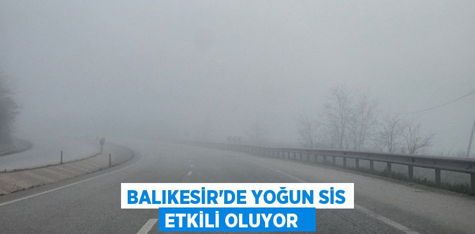 Balıkesir'de yoğun sis etkili oluyor  