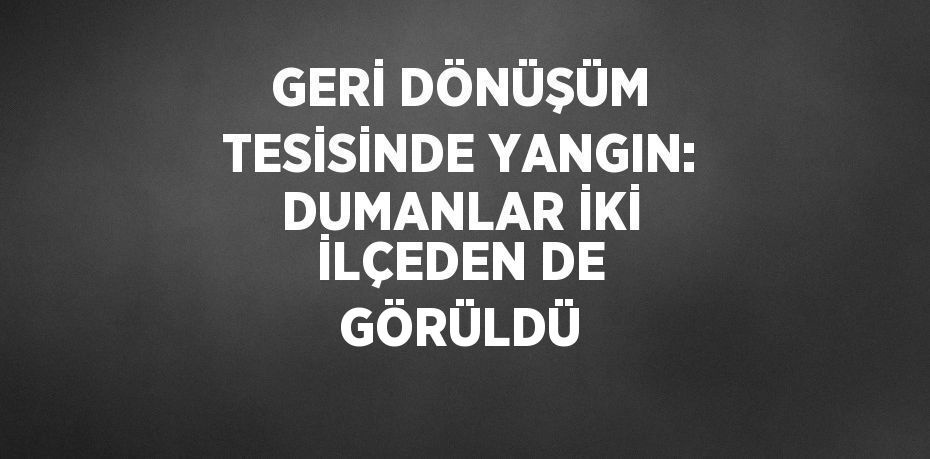 GERİ DÖNÜŞÜM TESİSİNDE YANGIN: DUMANLAR İKİ İLÇEDEN DE GÖRÜLDÜ