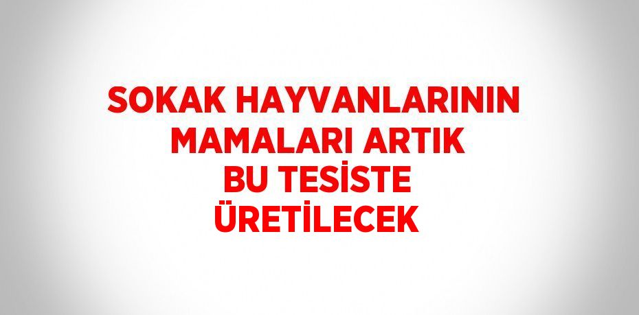 SOKAK HAYVANLARININ MAMALARI ARTIK BU TESİSTE ÜRETİLECEK