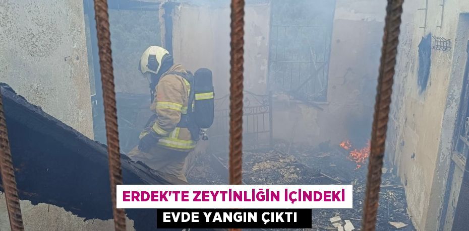 Erdek'te zeytinliğin içindeki evde yangın çıktı