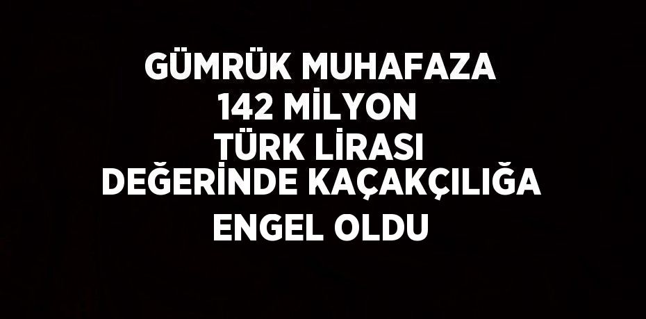 GÜMRÜK MUHAFAZA 142 MİLYON TÜRK LİRASI DEĞERİNDE KAÇAKÇILIĞA ENGEL OLDU