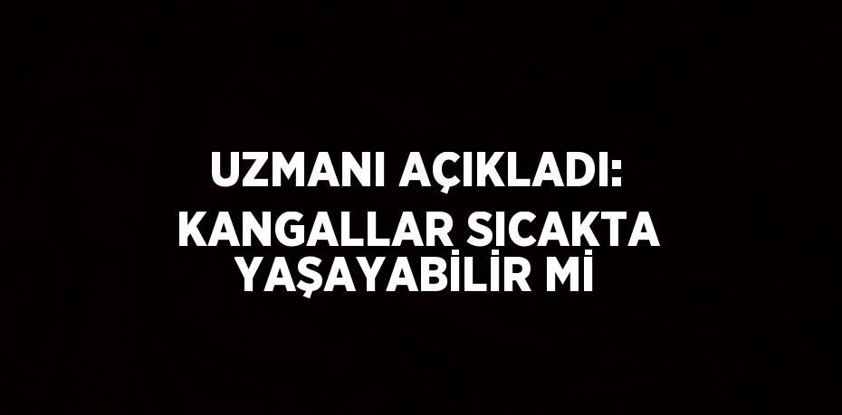 UZMANI AÇIKLADI: KANGALLAR SICAKTA YAŞAYABİLİR Mİ