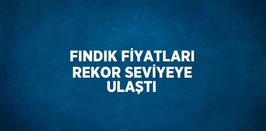 FINDIK FİYATLARI REKOR SEVİYEYE ULAŞTI