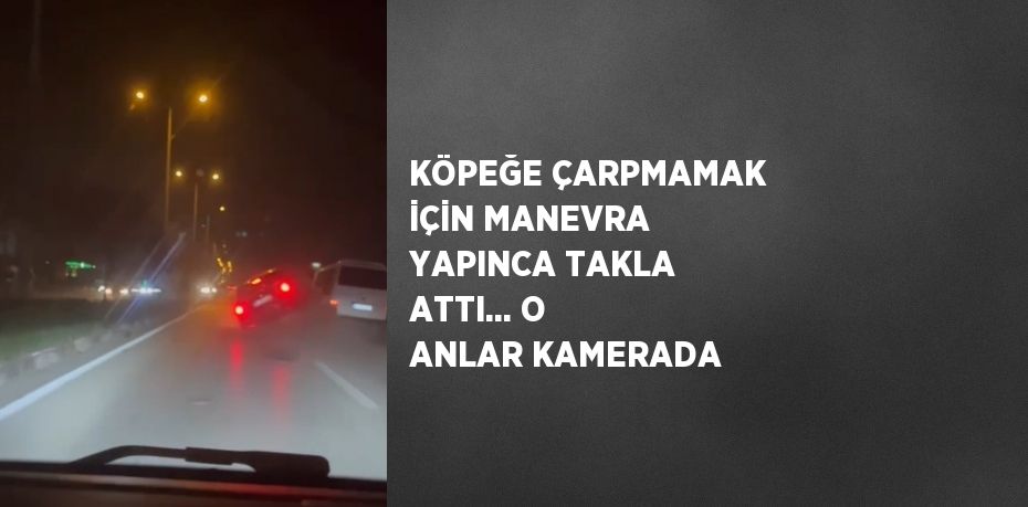 KÖPEĞE ÇARPMAMAK İÇİN MANEVRA YAPINCA TAKLA ATTI... O ANLAR KAMERADA