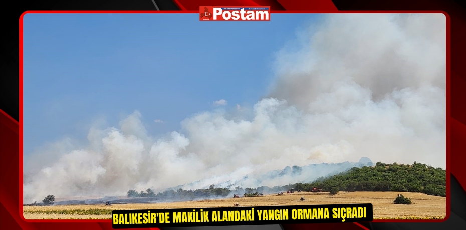 Balıkesir'de makilik alandaki yangın ormana sıçradı