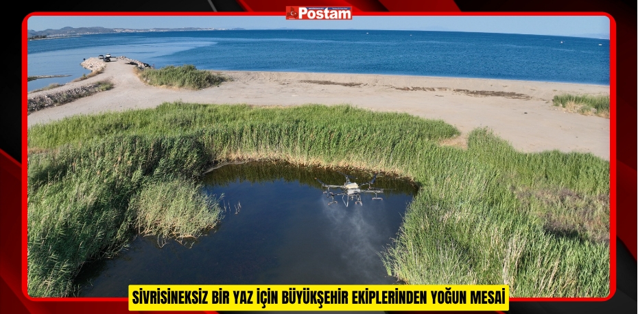 SİVRİSİNEKSİZ BİR YAZ İÇİN BÜYÜKŞEHİR EKİPLERİNDEN YOĞUN MESAİ