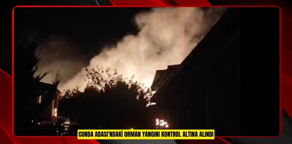 Cunda Adası'ndaki orman yangını kontrol altına alındı