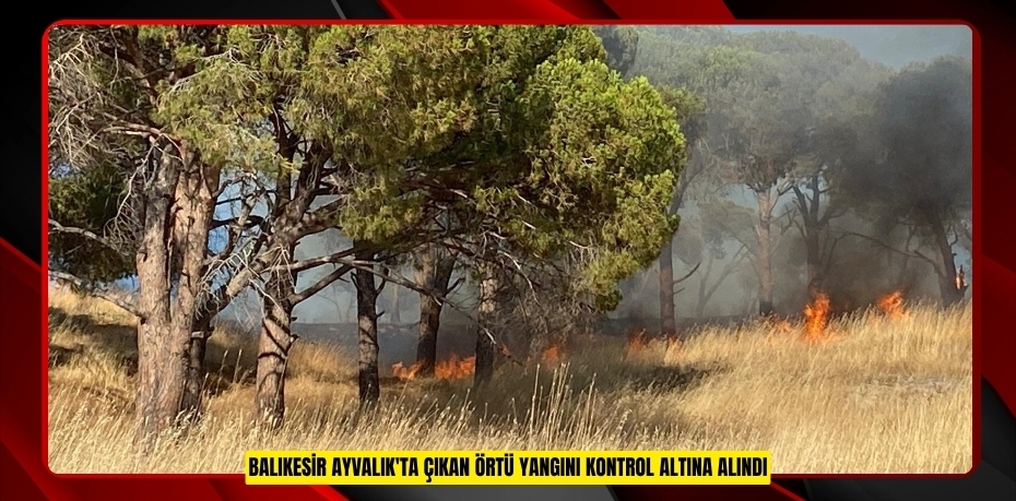 Balıkesir Ayvalık'ta çıkan örtü yangını kontrol altına alındı  