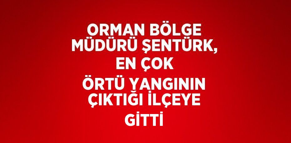 ORMAN BÖLGE MÜDÜRÜ ŞENTÜRK, EN ÇOK ÖRTÜ YANGININ ÇIKTIĞI İLÇEYE GİTTİ