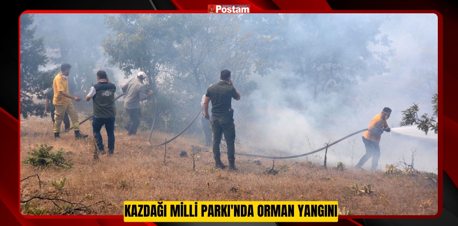 Kazdağı Milli Parkı'nda orman yangını