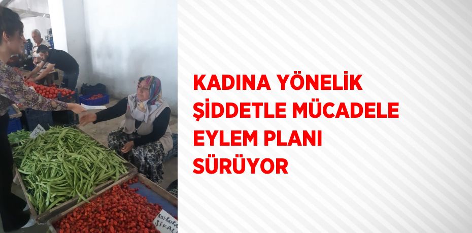 KADINA YÖNELİK ŞİDDETLE MÜCADELE EYLEM PLANI SÜRÜYOR