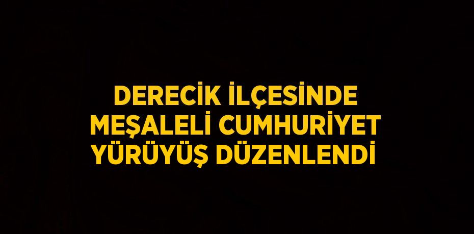 DERECİK İLÇESİNDE MEŞALELİ CUMHURİYET YÜRÜYÜŞ DÜZENLENDİ