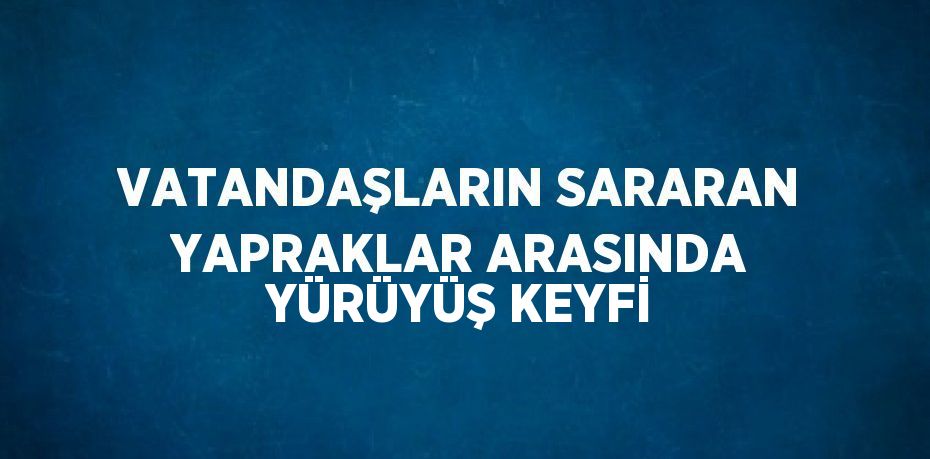 VATANDAŞLARIN SARARAN YAPRAKLAR ARASINDA YÜRÜYÜŞ KEYFİ