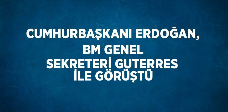 CUMHURBAŞKANI ERDOĞAN, BM GENEL SEKRETERİ GUTERRES İLE GÖRÜŞTÜ