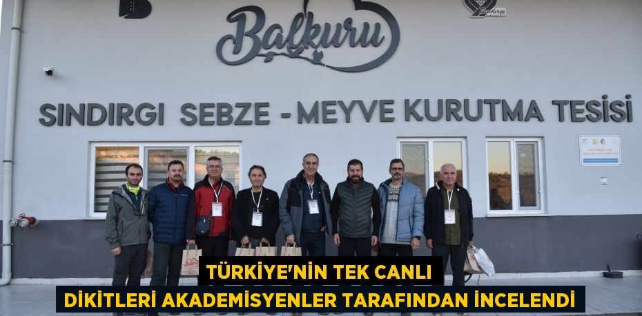 Türkiye’nin tek canlı dikitleri akademisyenler tarafından incelendi